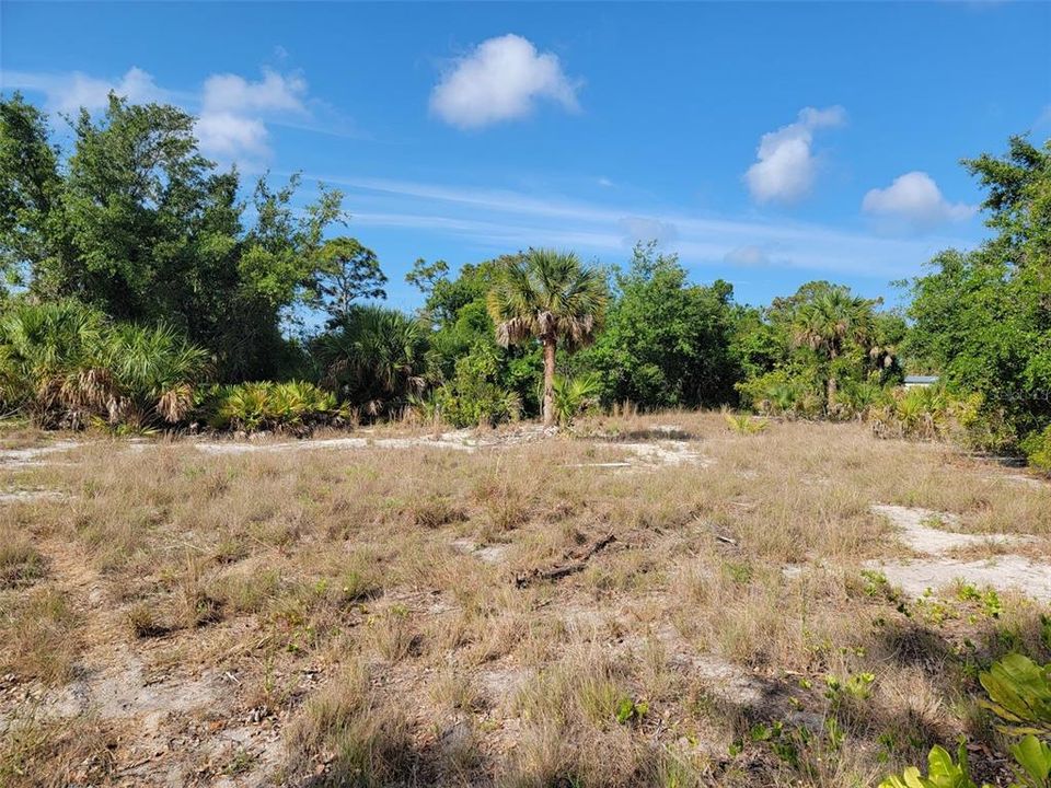 For Sale: $30,000 (0.23 acres)
