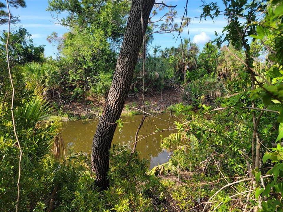 For Sale: $30,000 (0.23 acres)
