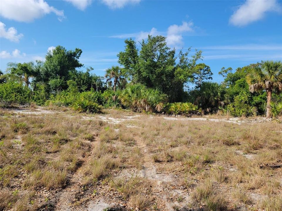 For Sale: $30,000 (0.23 acres)