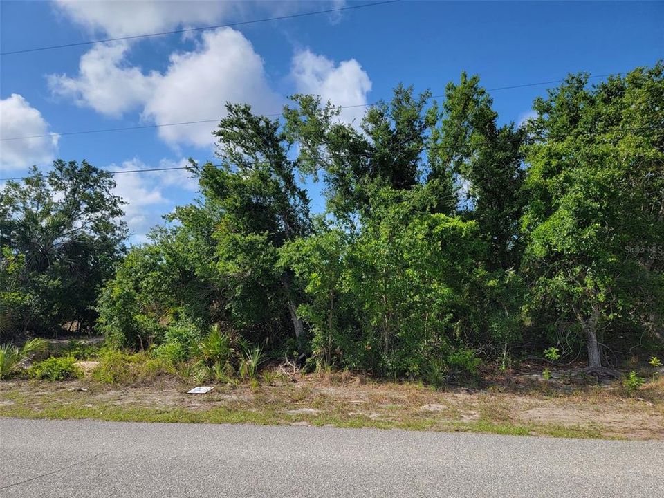 For Sale: $30,000 (0.23 acres)