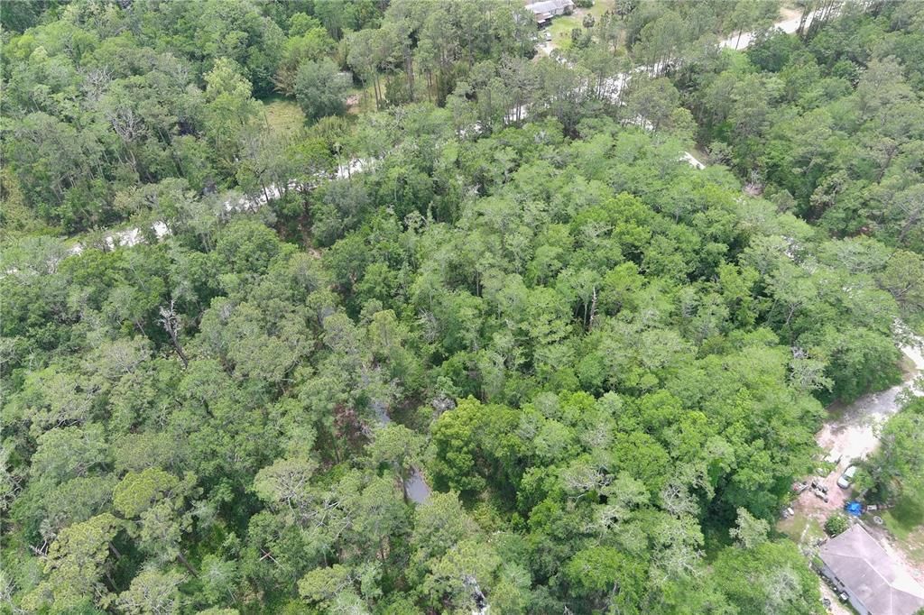 For Sale: $33,900 (1.14 acres)