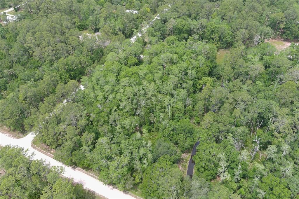 For Sale: $33,900 (1.14 acres)