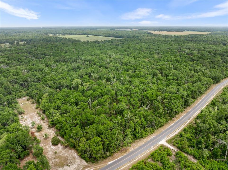 For Sale: $308,000 (28.00 acres)