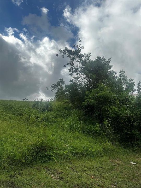 For Sale: $120,000 (0.39 acres)