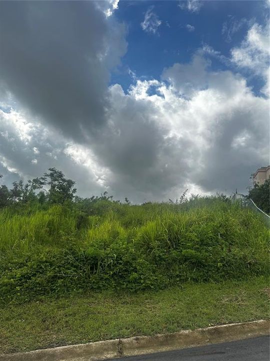 For Sale: $120,000 (0.39 acres)