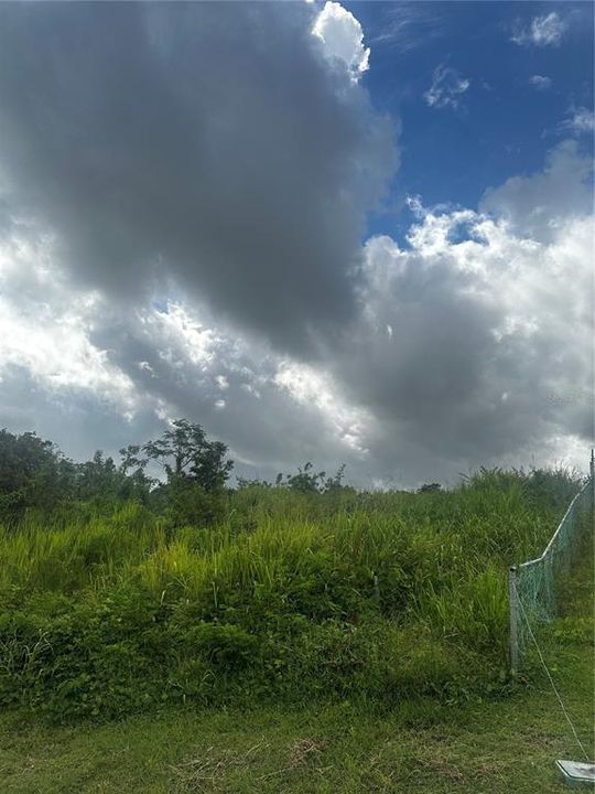 For Sale: $120,000 (0.39 acres)