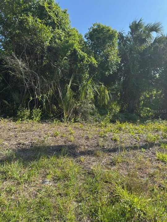 For Sale: $12,500 (0.23 acres)