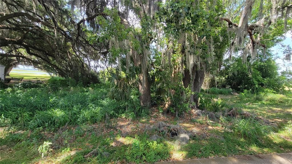 На продажу: $350,000 (0.56 acres)