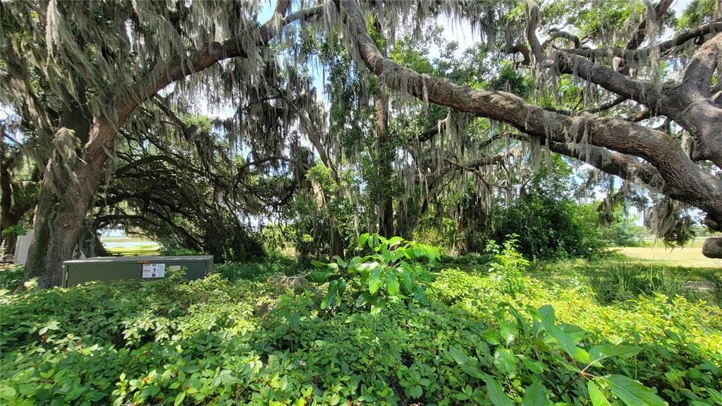 На продажу: $350,000 (0.56 acres)