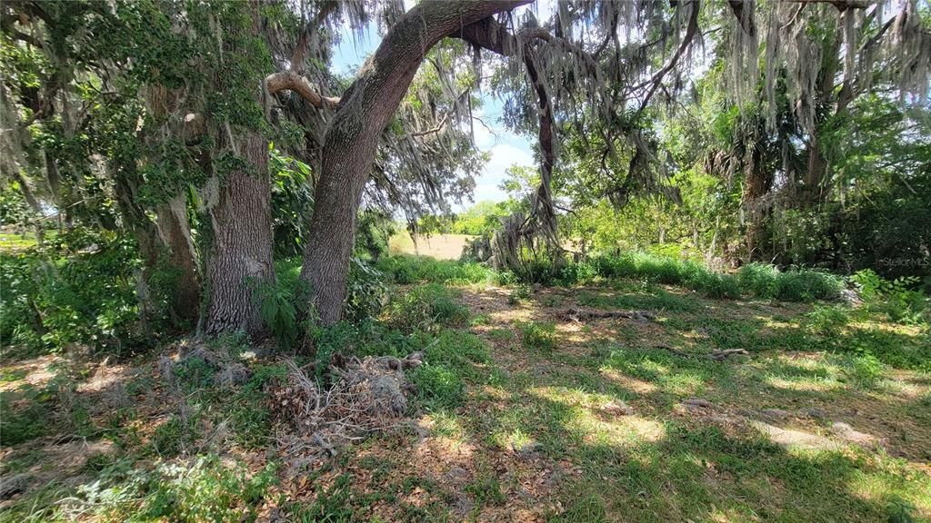 На продажу: $350,000 (0.56 acres)