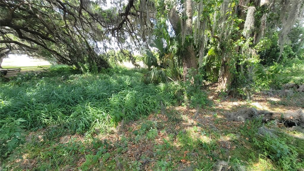 На продажу: $350,000 (0.56 acres)