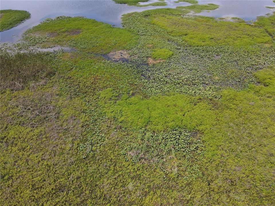 На продажу: $350,000 (0.56 acres)