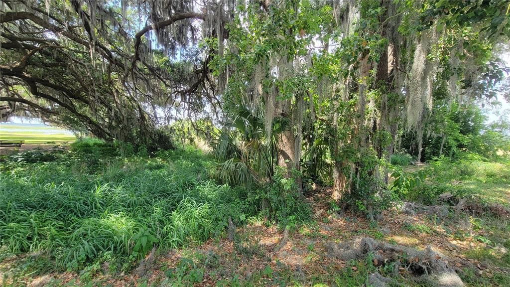 На продажу: $350,000 (0.56 acres)