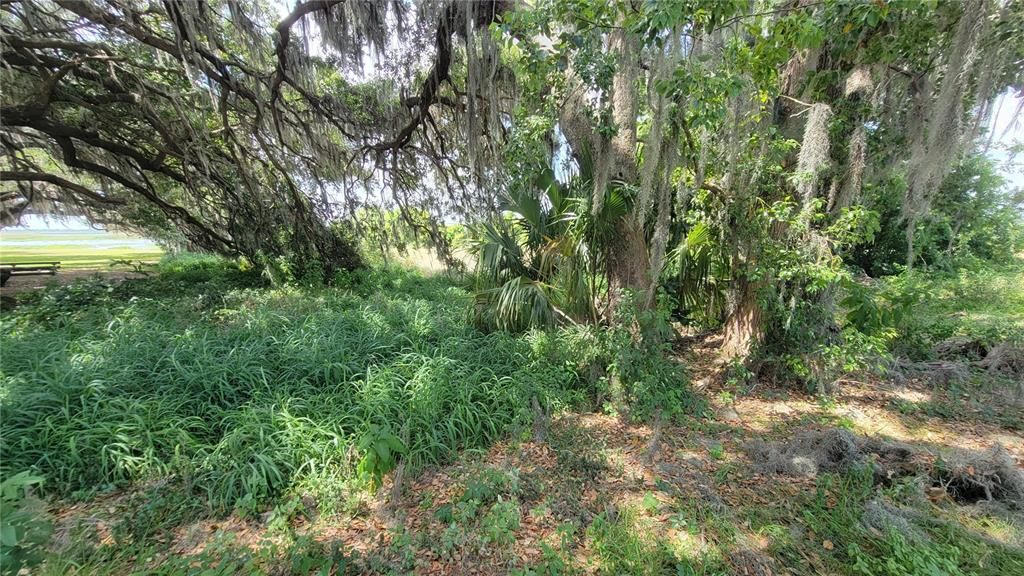 На продажу: $350,000 (0.56 acres)