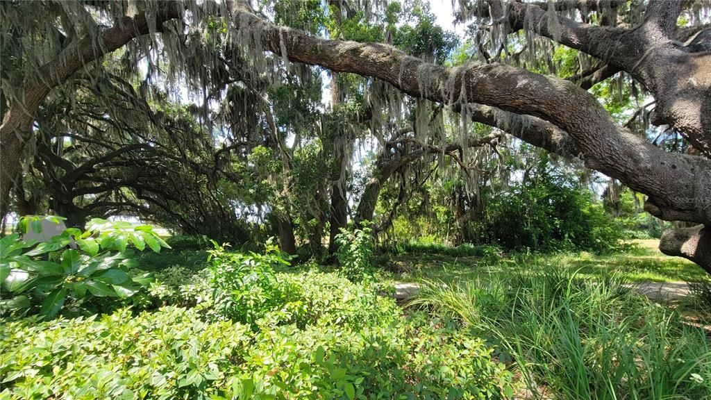 На продажу: $350,000 (0.56 acres)