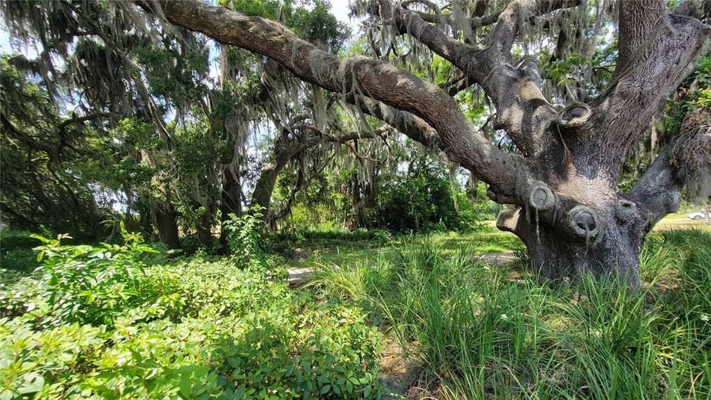 На продажу: $350,000 (0.56 acres)