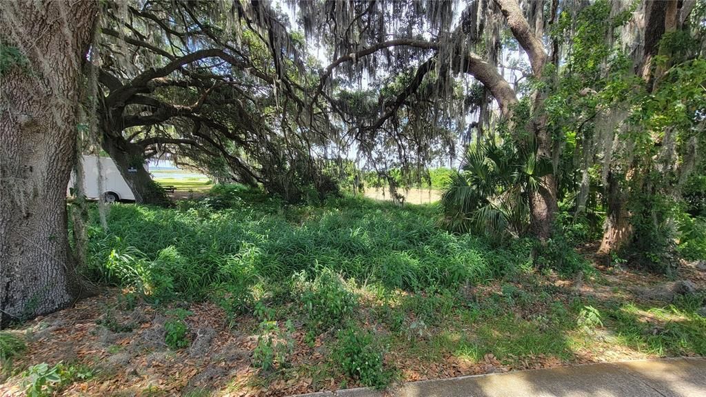 На продажу: $350,000 (0.56 acres)