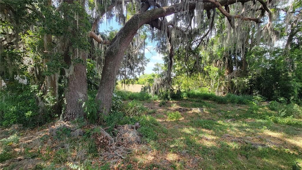 На продажу: $350,000 (0.56 acres)