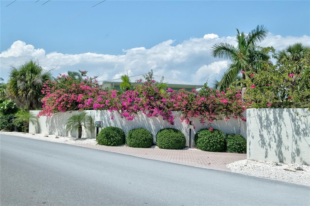 出租: $8,000 (3 贝兹, 2 浴室, 3284 平方英尺)