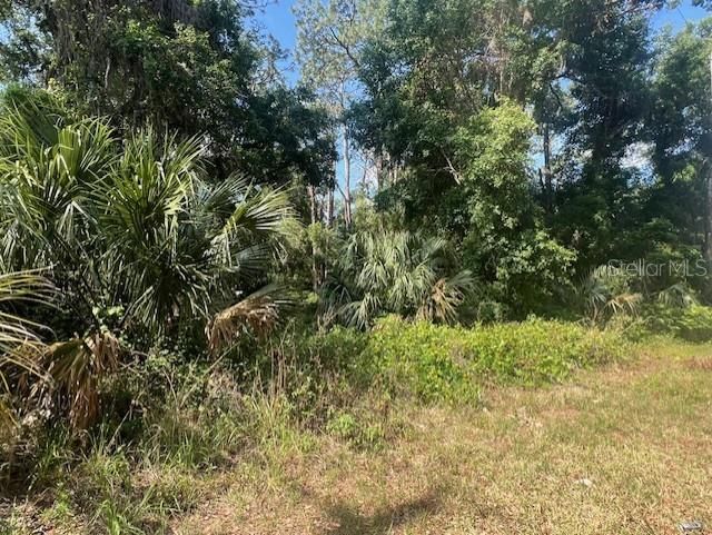 Под контрактом: $94,900 (1.07 acres)