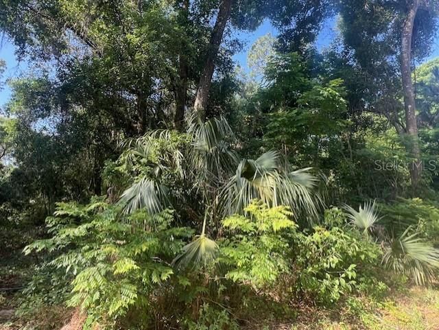 Под контрактом: $94,900 (1.07 acres)