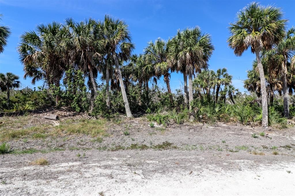 合同活跃: $215,000 (0.55 acres)