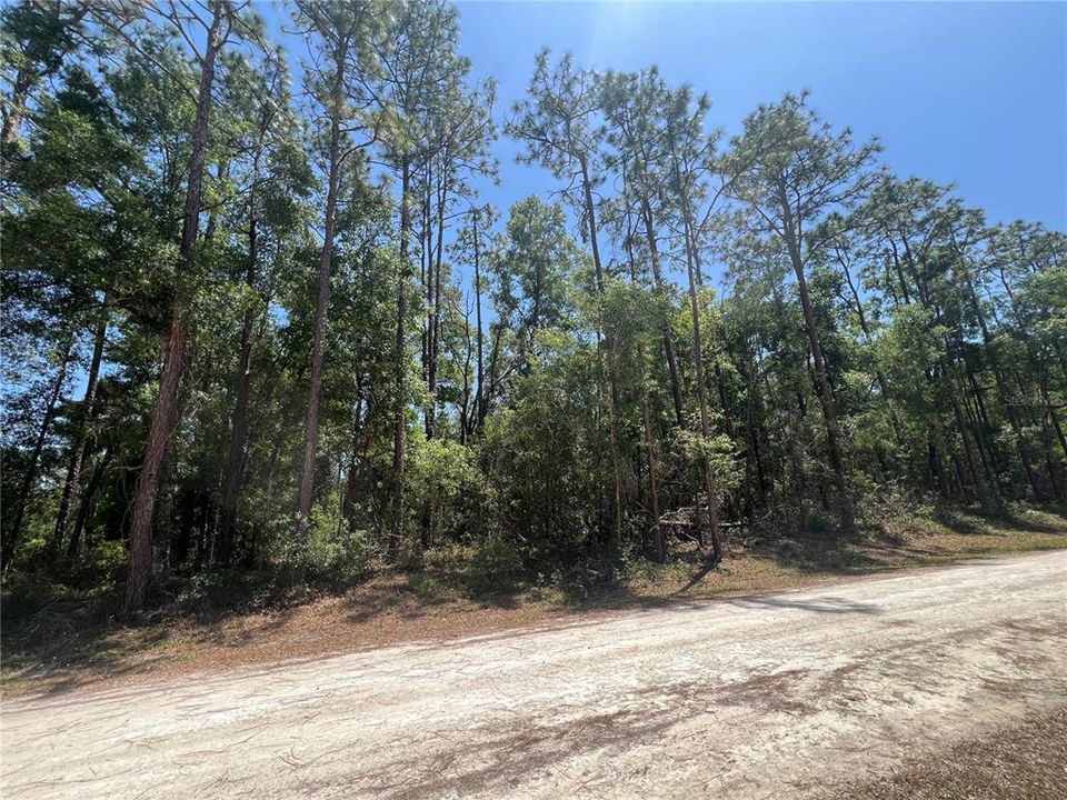 Recently Sold: $16,500 (0.59 acres)