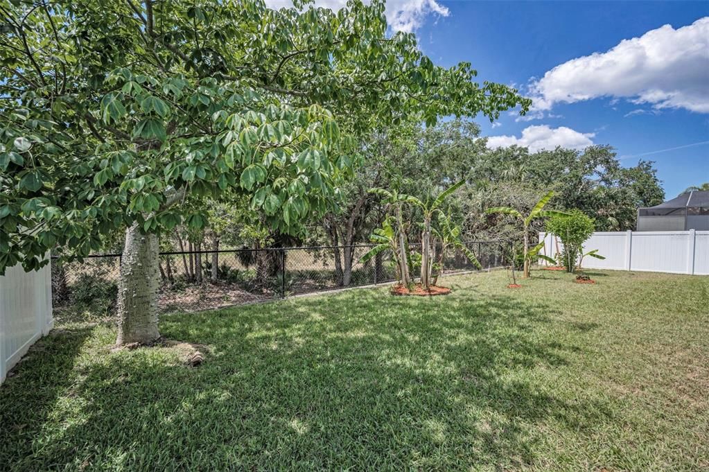 For Sale: $339,900 (3 beds, 2 baths, 2053 Square Feet)