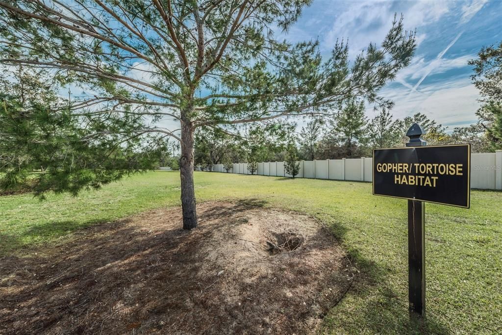 For Sale: $339,900 (3 beds, 2 baths, 2053 Square Feet)