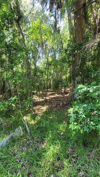 На продажу: $750,000 (1.84 acres)