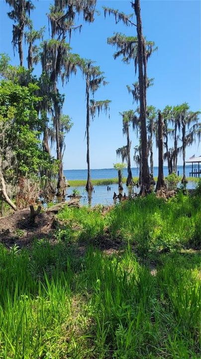 На продажу: $750,000 (1.84 acres)