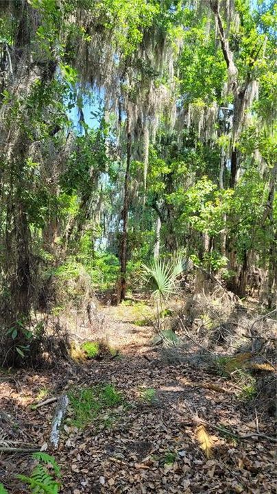 На продажу: $750,000 (1.84 acres)