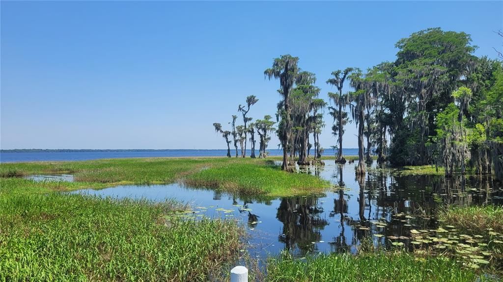 На продажу: $750,000 (1.84 acres)