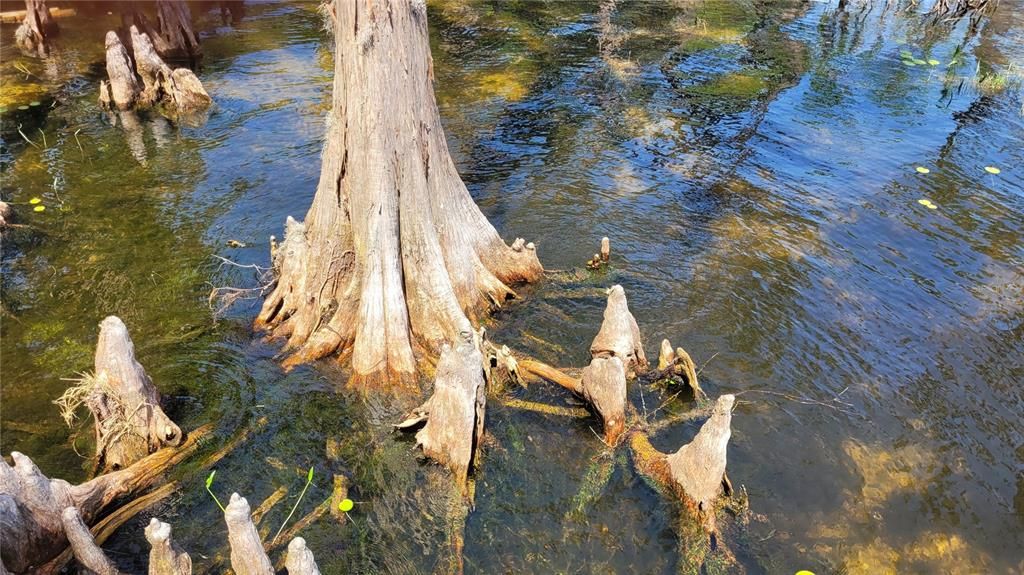 На продажу: $750,000 (1.84 acres)