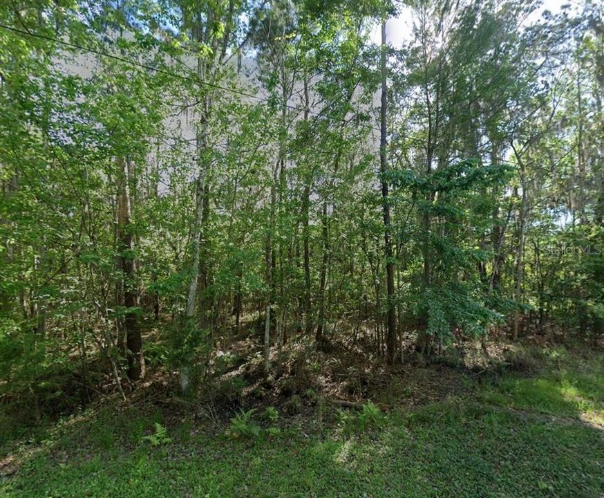 На продажу: $750,000 (1.84 acres)