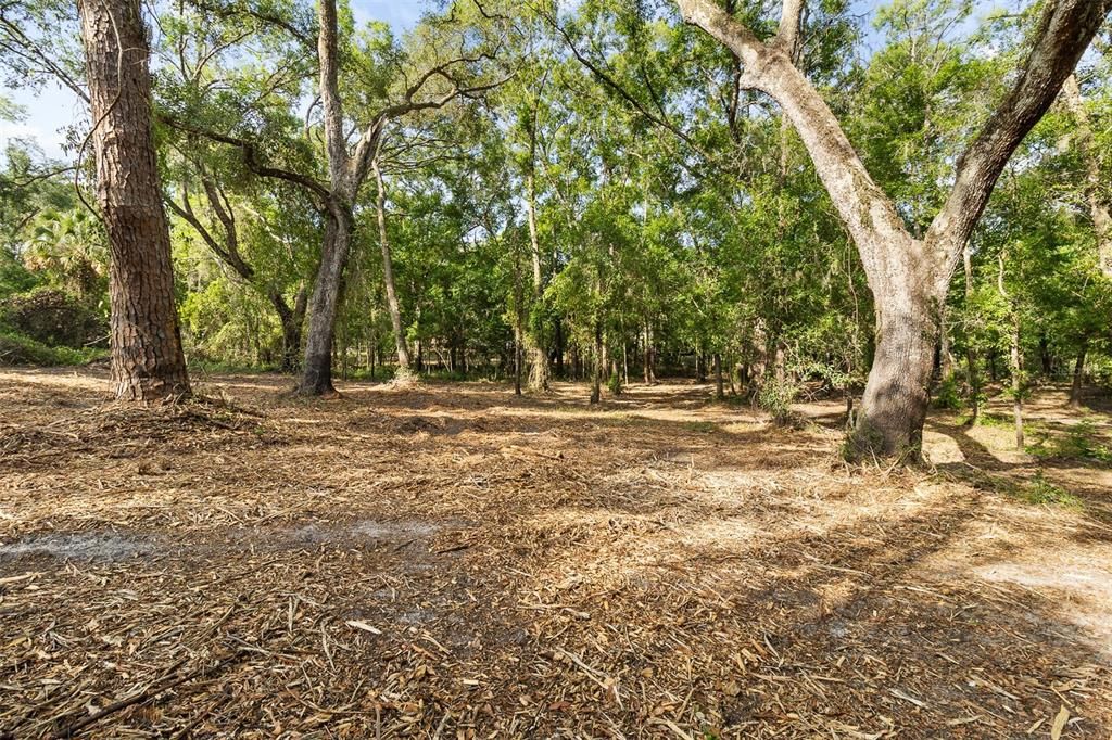 For Sale: $39,500 (0.31 acres)