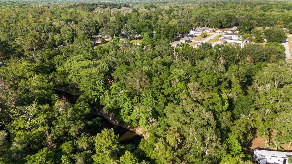 For Sale: $39,500 (0.31 acres)