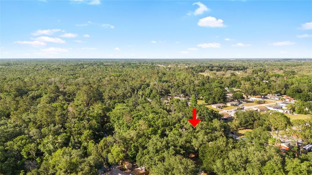 For Sale: $39,500 (0.31 acres)