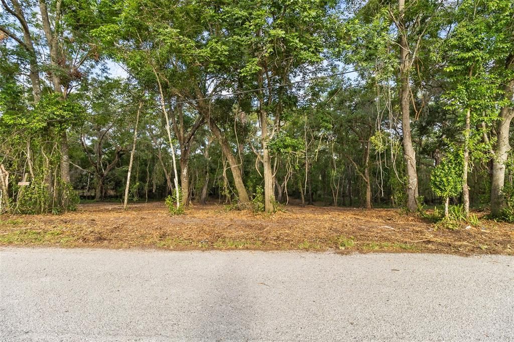 For Sale: $39,500 (0.31 acres)