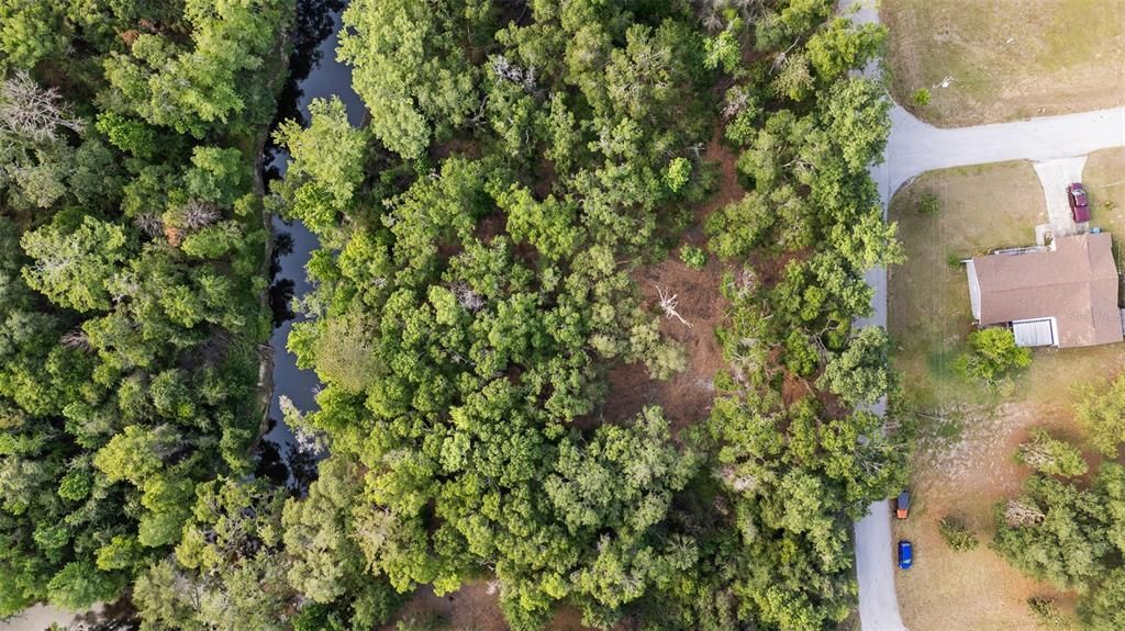 For Sale: $39,500 (0.31 acres)