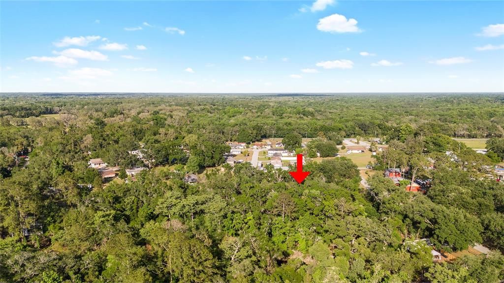 For Sale: $39,500 (0.31 acres)