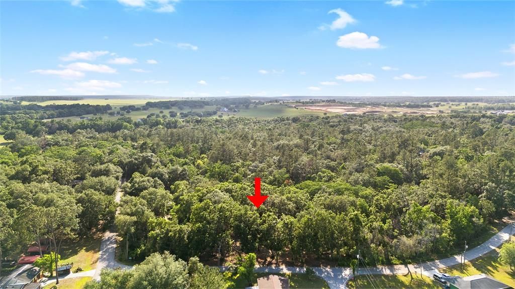 For Sale: $39,500 (0.31 acres)