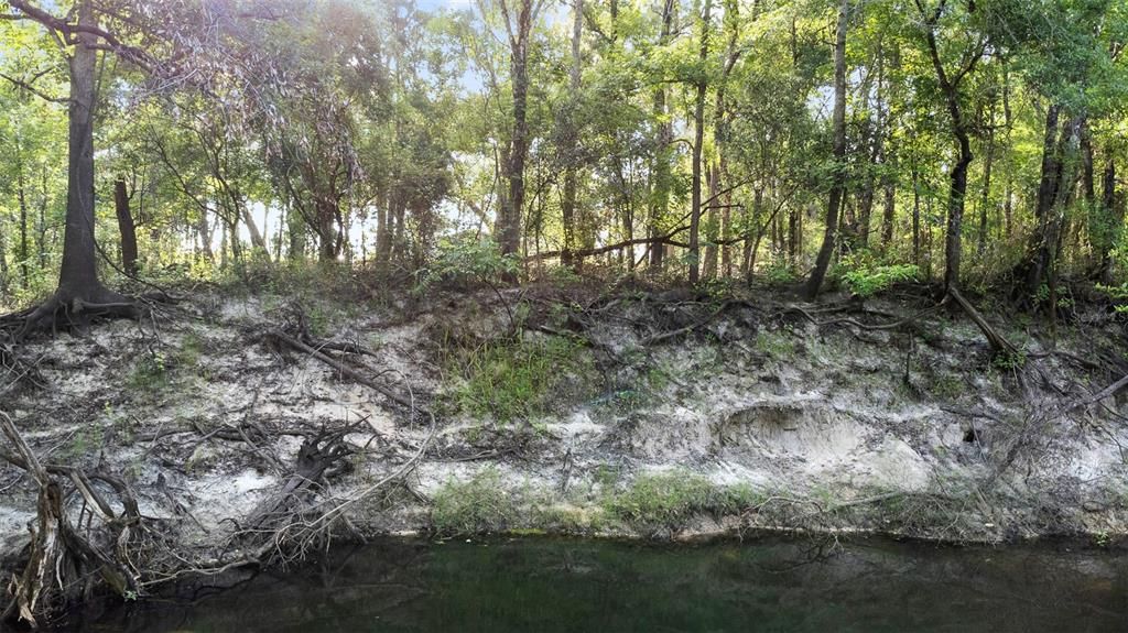 For Sale: $39,500 (0.31 acres)