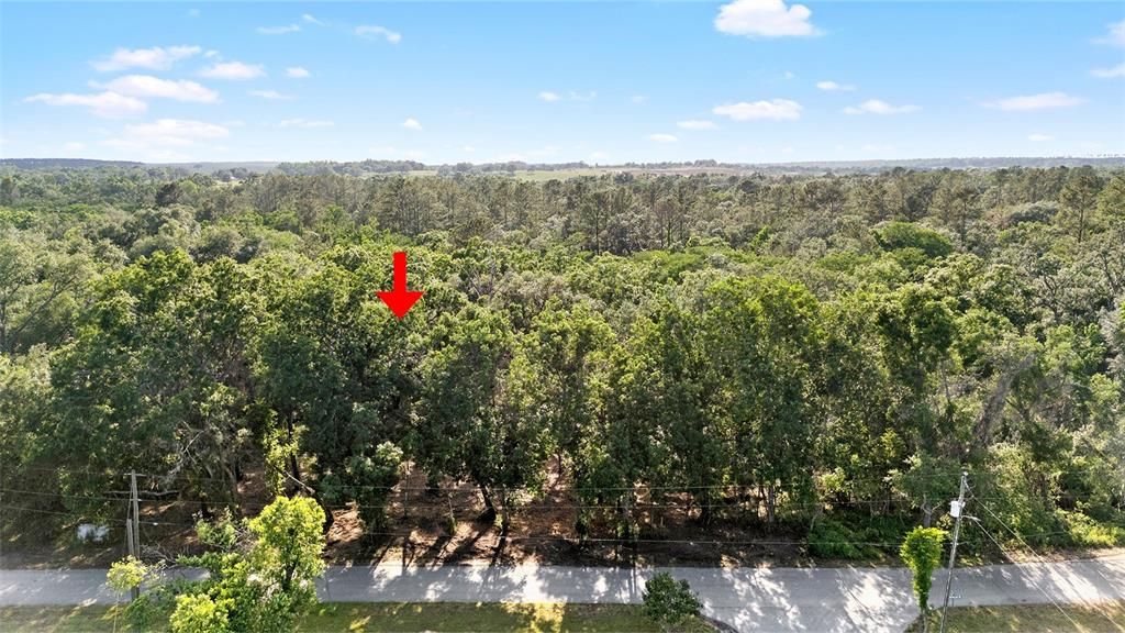 For Sale: $39,500 (0.31 acres)