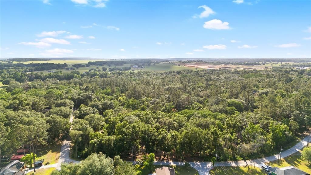 For Sale: $39,500 (0.31 acres)