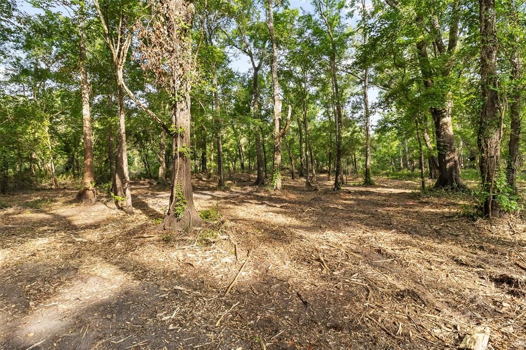 For Sale: $38,500 (0.28 acres)