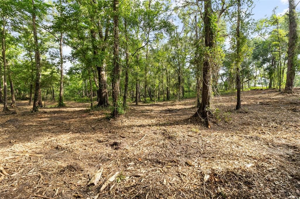 For Sale: $38,500 (0.28 acres)