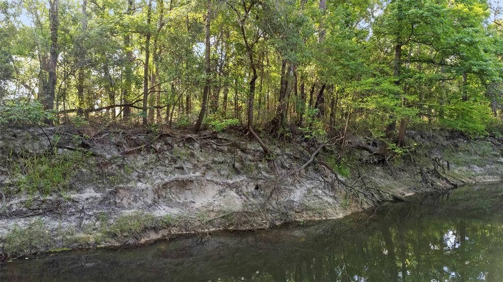 For Sale: $38,500 (0.28 acres)