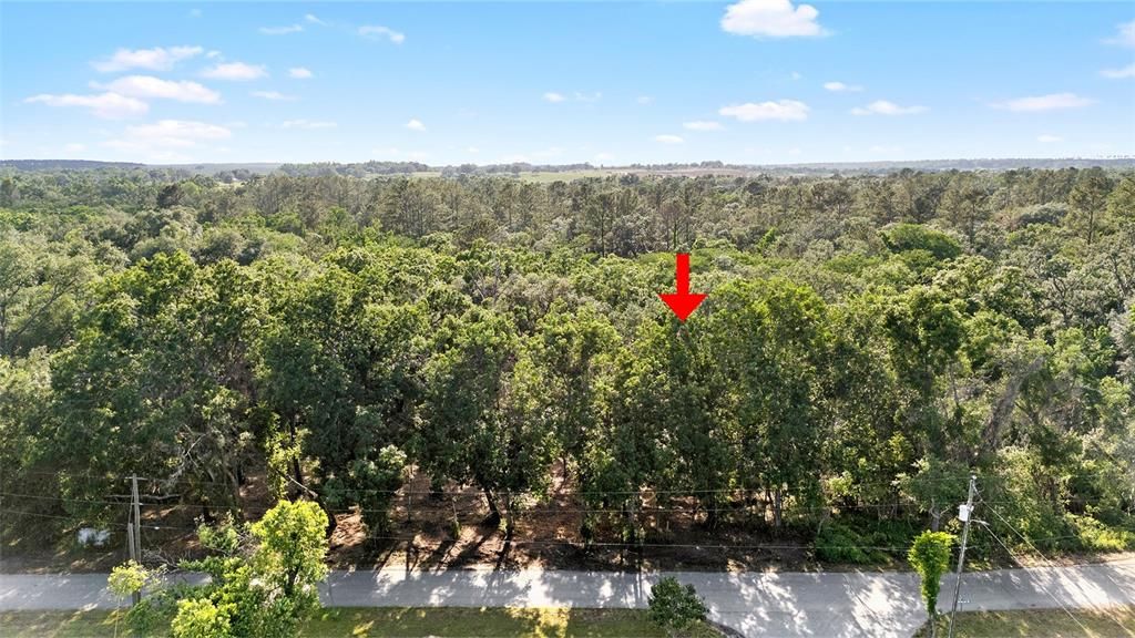 For Sale: $38,500 (0.28 acres)