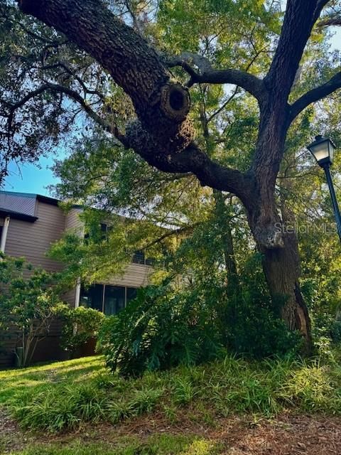 Active With Contract: $204,999 (2 beds, 2 baths, 1050 Square Feet)